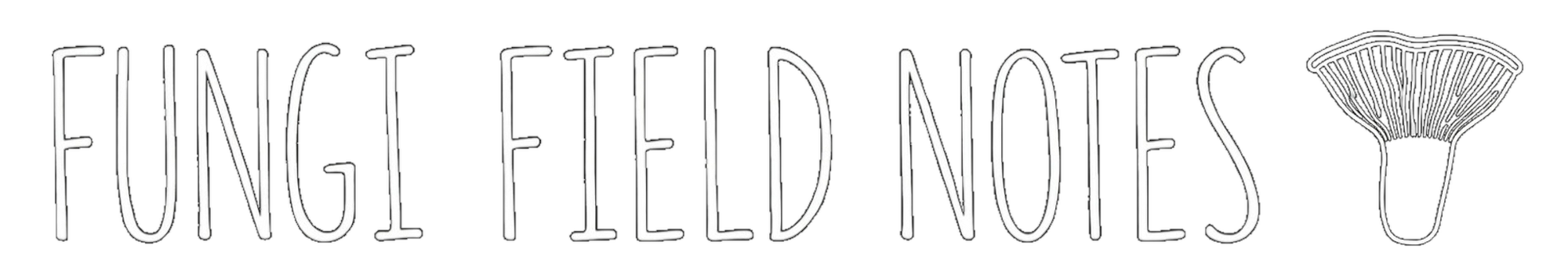 Hinterland Fungi banner